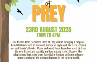 Birds of Prey Poster
