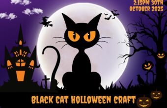 black cat halloween