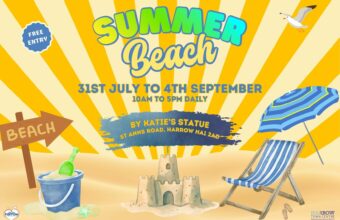 Summer Beach Flyer landscape