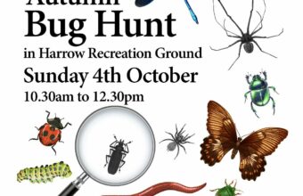 Bug Hunt